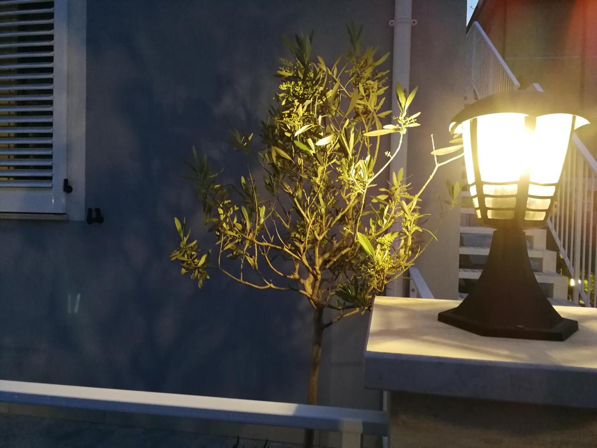 Bed and Breakfast Alcivico3 Civitanova Marche Exterior foto